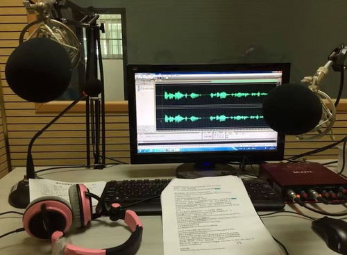 你敢想嗎 零預(yù)算也可制作配音